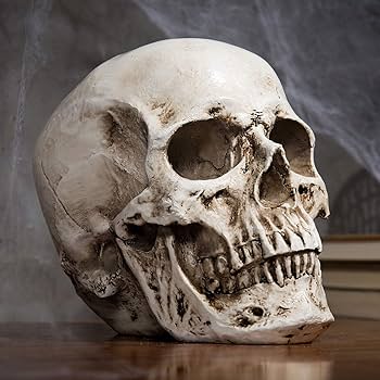 MyGift 9-Inch Replica Realistic Human Skeleton Head Bone